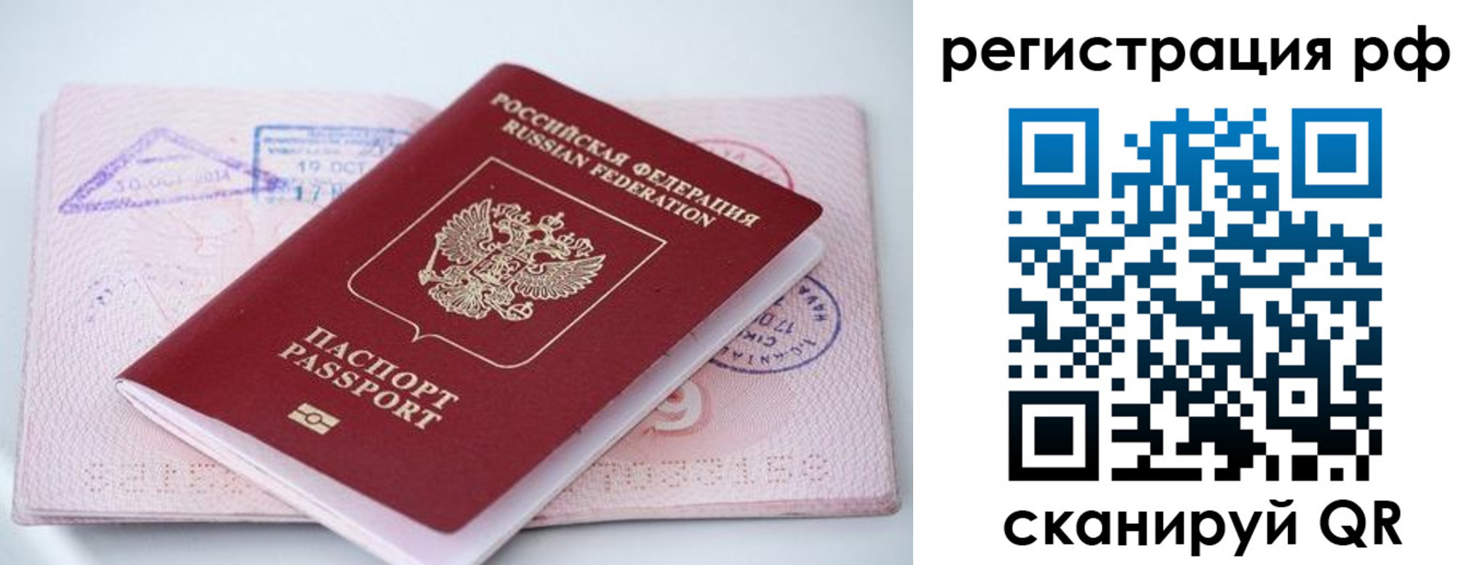прописка штамп в Ржеве